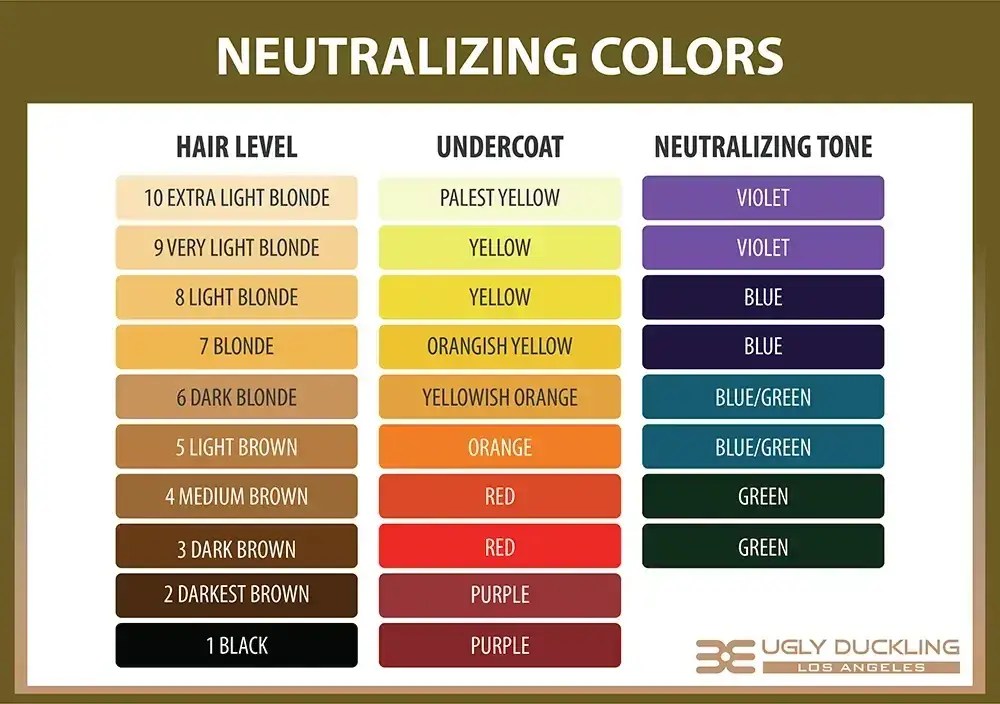 Best Color Wheel Toners for hair Ugly Duckling